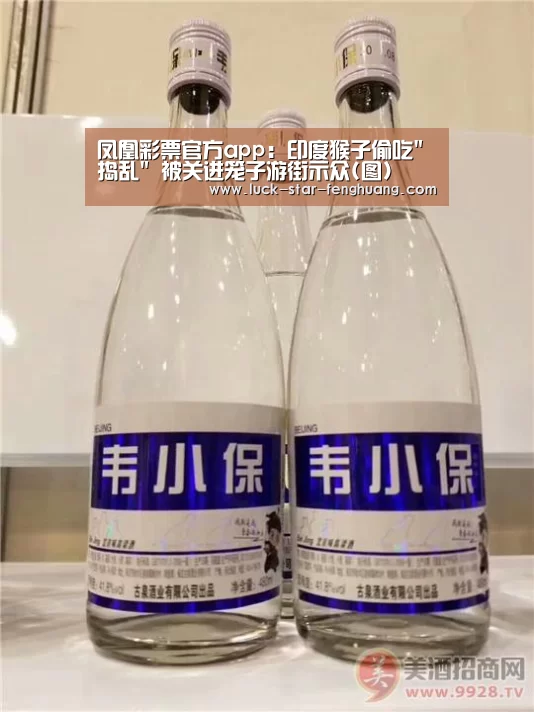 凤凰彩票官方app:印度猴子偷吃捣乱 被关进笼子游街示众(图)(图1) 凤凰彩票官方app