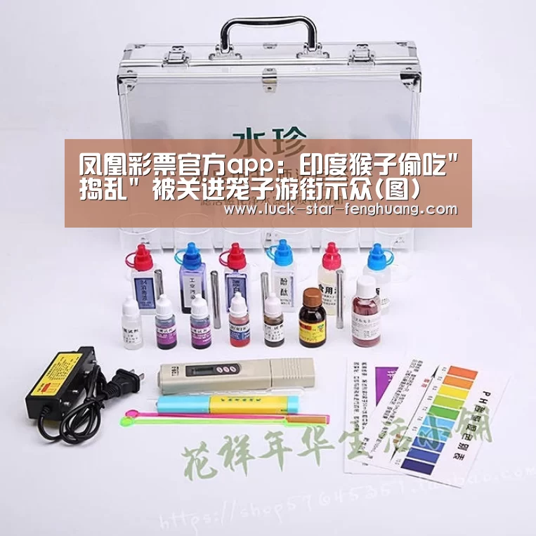 凤凰彩票官方app:印度猴子偷吃捣乱 被关进笼子游街示众(图)(图3) 凤凰彩票官网