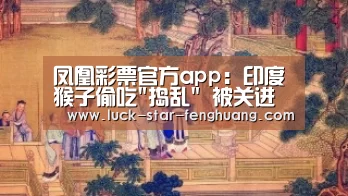 凤凰彩票官方app:印度猴子偷吃捣乱 被关进笼子游街示众(图)(图2) 凤凰彩票官方app